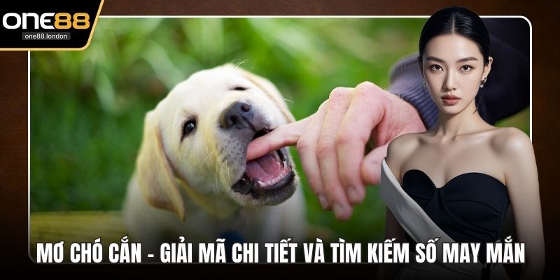 Mơ chó cắn